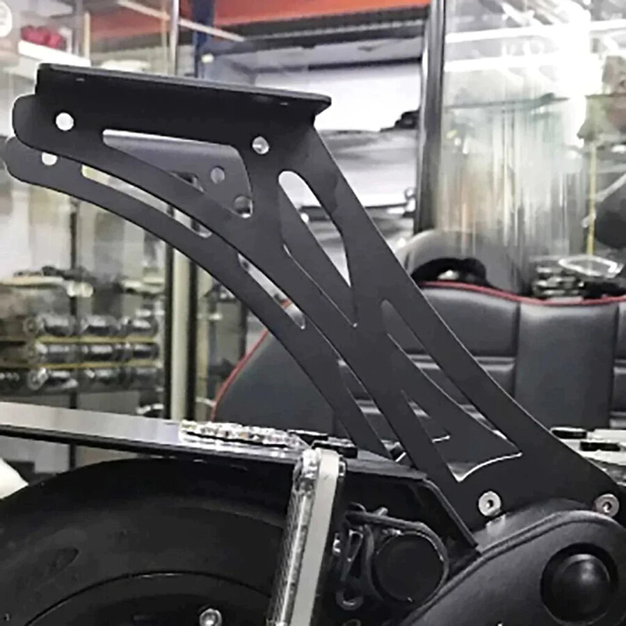 suport spate standard carbonrevo dualtron